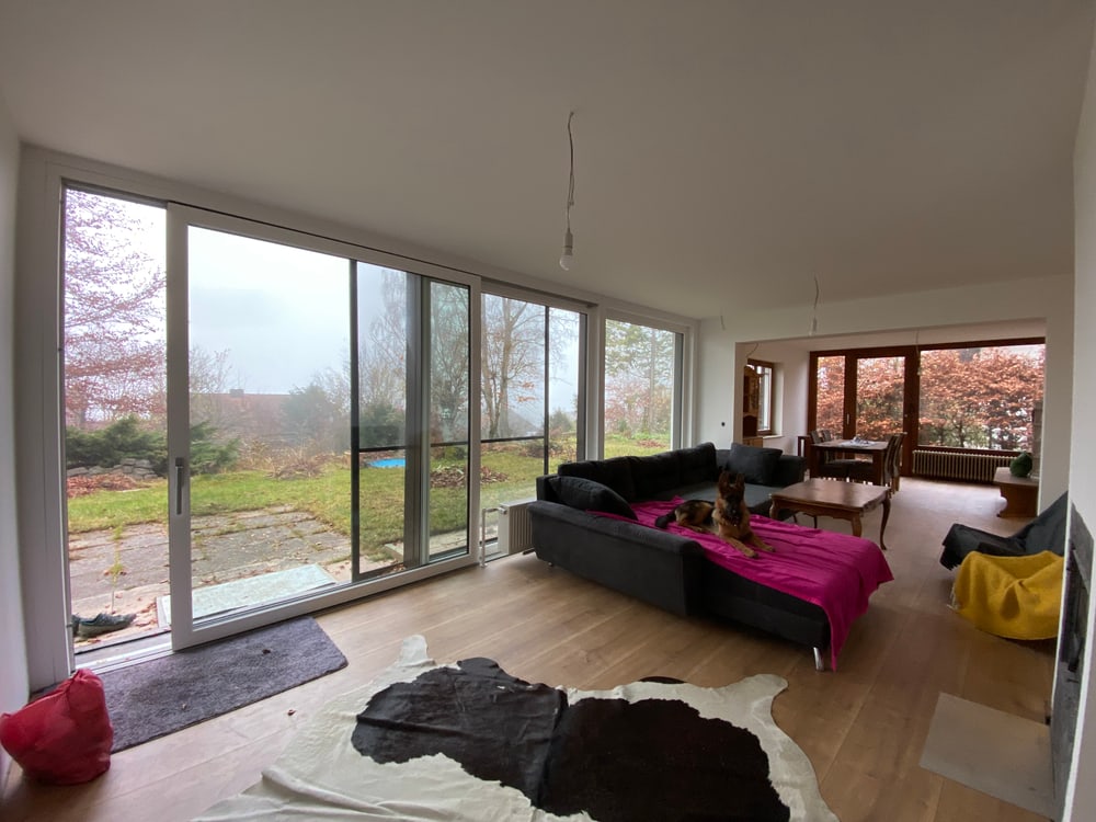 Isarnova Immobilien: Wohnzimmer mit Hund und Blick ins Grüne. Helle, moderne Einrichtung.